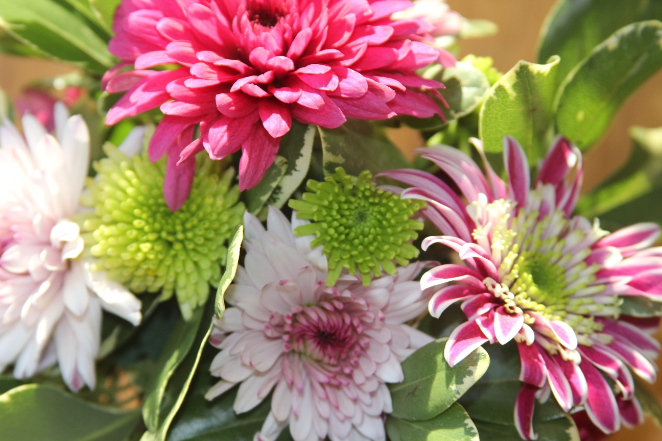 Kid friendly flower arrangements Simply Linda