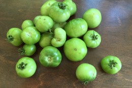 What to do with my green tomatoes?