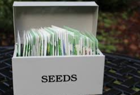 Time to order my seeds!